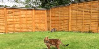 Cats can be successfully trained to use the invisible fence® brand system, both outdoors and indoors. 4 Cat Fence Solutions For Your Backyard Oscillot North America