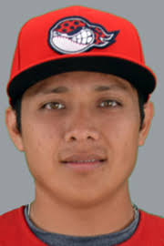 Daniel Brito minor league baseball statistics