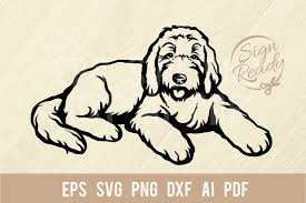 Download Goldendoodle Dog Svg Breed Dogs Svg Pet Dog Clipart Vector 1198617 Cut Files Design Bundles