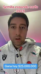 Semilla expande corfo entrega $25.000.000 de cofiannciamiento en su primera  etapa, puedes postular hasta el 1 de agosto. Ventas minimas en 1 año de  $100.000 #semillaexpande #corfo2023 ...