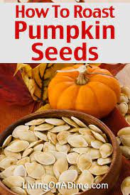 Roasting Pumpkin Seeds And Pumpkin Recipes Pumpkin Seeds Benefits Pumpkin Seed Recipes Pumpkin Seeds