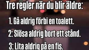 Image result for site:byggahus.se stulet