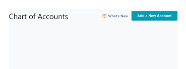 Chart Of Accounts Page Is Blank Wave Community