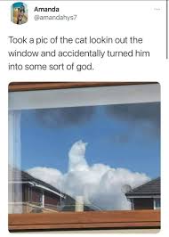 Maybe you would like to learn more about one of these? Animal Thug Life Zuzu And Nala