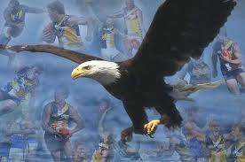 Submitted 1 day ago * by aflbot west coast eagles. Wallpapers Bigfooty