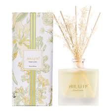 Amazon.com: Airkeep Reed Diffuser Set,Clean Linen Scented Diffuser with 8  Sticks Fragrance for Bathroom, Oil Diffuser, Home Décor,Gifts, 5.7 oz. (170  ml) : Home & Kitchen