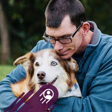 Nothing slows down our playcare crew! ❄️ The pups had an absolute blast  romping through the snow today. Winter fun is officially in full swing! ⛄🐾