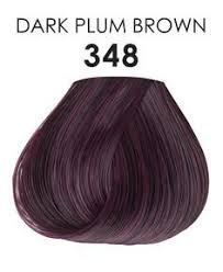 Image Result For Rich Dark Brown Hair With Purple Tint Hair Color Plum Purple Brown Hair Hair Styles