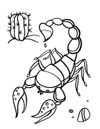 Scorpion Coloring Page Coloring Pages Free Coloring Pages Colouring Pages