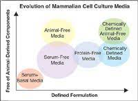 Most cell culture media lack an ingredients list and oftentimes the type of media a researcher chooses depends on the intended application. Media Development For Mammalian Cell Culture