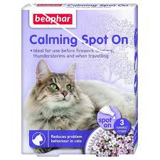 Kedi Bakim Ve Saglik Panosundaki Pin