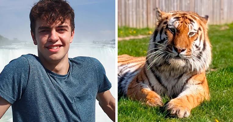 Bored Panda on X: "William Chapman, 24, climbed two fences to enter a tiger  enclosure at Yorkshire Wildlife Park. The opening of his inquest at  Doncaster Coroner's Court was on Thursday, October