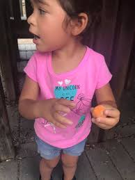 Decatur park rock findings for kids