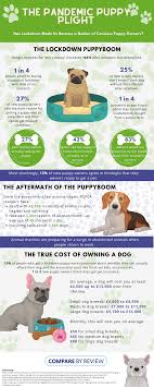 Find a policy to suit your pet now. The Pandemic Puppy Plight Compare By Review