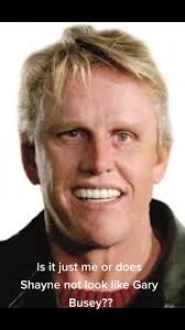 Gary Busey and Shayne