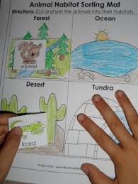 Young Scientists Animal Life Chickens Frogs More Kindergarten Science Habitat Activities Animal Habitats