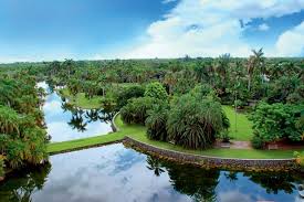 Resultado de imagem para belos jardins