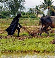 Foto Lucu Batman Sedang Bajak Sawah Gambar Lucu Terbaru Foto Lucu Video Humor Lucu