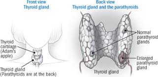 Yes hair loss is listed as a side effect. So You Have Primary Hyperparathyroidism Harvard Health