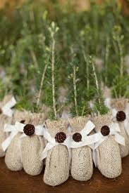 Winter Wedding Idea Evergreens Tree Wedding Favors Eco Friendly Wedding Favors Winter Wedding Favors