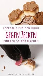 Remarkable Preppy Dog Collar Dogfoodie Dogcostumesgoldenretriever Dog Food Recipes Dog Treats Homemade Treats