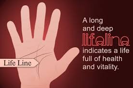 Basics Of Palm Reading Know About Your Marriage Line And