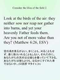 Look At The Birds Of The Air Esv 