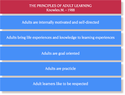 Pin On Adult Learning Andragogy