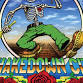 Shakedown Citi - Grateful Dead Tribute
