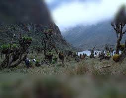 Cordilleras