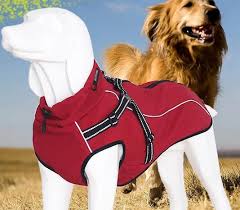 Satin Al Pet Giyim Sonbahar Ve Kis Buyuk Kopek Kopek Kiyafetleri Acik Yagmur Gecirmez Kar Ve Sicak Gogus Askisi Tl191 43 Tr Dhgate Com