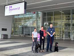 Adelaide festival centre events are held according to sa health direction and operate under a covid management plan. Lab Report Covid Detector Dogs Start Trials At Adelaide Airport Faculty Of Sciences University Of Adelaide