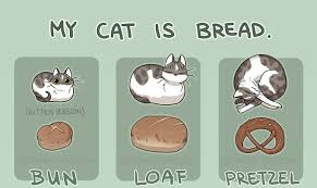 Toastycat is an adorable new cat bed in the shape of a bread loaf. Artist Proves Cats Are More Bread Than You D Think Bored Panda