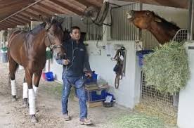 City Of Light Walks Past An Animated Accelerate Before The Pegasus World Cup At Gulfstream Park January 2019 Horse Racing Racing Horses