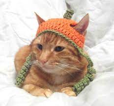 Crochet Cat Hat Halloween Pumpkin Hat For Cats Cat Halloween Costume Novelty Hats For Cats Crochet Cat Hat For Cat Crochet Cat Hat