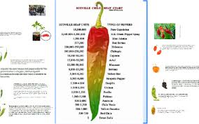 Scoville Scale Pepper By Kyung Nang Choi On Prezi