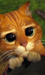 480x800 Wallpaper Cat Shrek Striped Mournful Look Gato De Botas Olhar Olhar De Cachorrinho Filhotes De Gatos