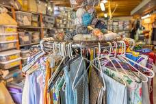 FiberShed Open Hours — Grow Benzie