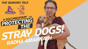 Animal Rescue Center Radha Indie Straydogs Love Animal Rescue Center Animal Rescue Street Dogs