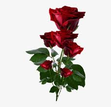 Flowers are precious beauty of nature, which gives expression to our emotions. Hearts And Roses Red Roses Pretty Flowers Red Flowers Roses Png Free Transparent Png Download Pngkey