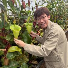 Image result for Xylotheca tettensis