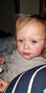 #toddlersoftiktok #labradorsoftiktok #pizza #foryou #foryoupage