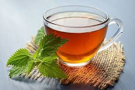 Image result for Monadenium herbaceum