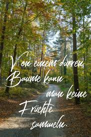 Outdoor Blog Wandern Best Mountain Artists Trekking Wanderungen Die 50 Besten Zitate Zu Den Themen Wald Und Baume Waldzitate