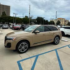 Image result for Corba Beige 2019 Q7