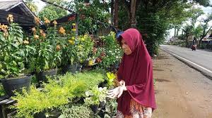 Selain itu, penambahan hiasan bunga, pohon, dan rumput sintetis buat suasana jadi asri. Halaman Rumah Di Desa Purut Jadi Pajangan Koleksi Bibit Bunga Hias Banjarmasin Post