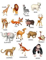 Nomi di animali in italiano. Sikkim Animals Name Chart Green Humour Endangered Mammals Of India Check Out Our Top 100 Animal Names On Cuten In 2021 Animals Wild Baby Animal Names Baby Ferrets