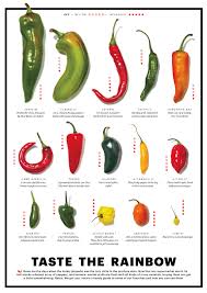 Chile Chart Stuffed Peppers Cooking Peppers Stuffed Hot