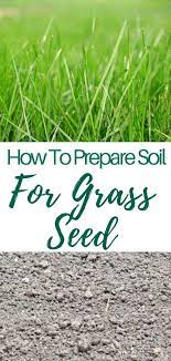 How To Prepare Soil For Grass Seed Grass Seed Healthy Lawn Growing Grass