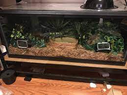 However, if you have a ball python and live in the arid southwest, you may need to take some extra steps to ensure that your pets are healthy and happy. Maintaining Humidity In Glass Tanks Ball Pythons Wiki Reptiles Amino